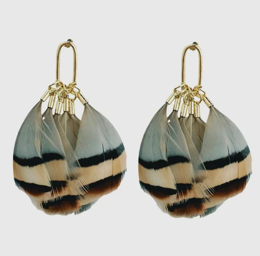 Peacock Striped Feather Earrings